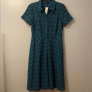 Ann Taylor A-line button down dress.